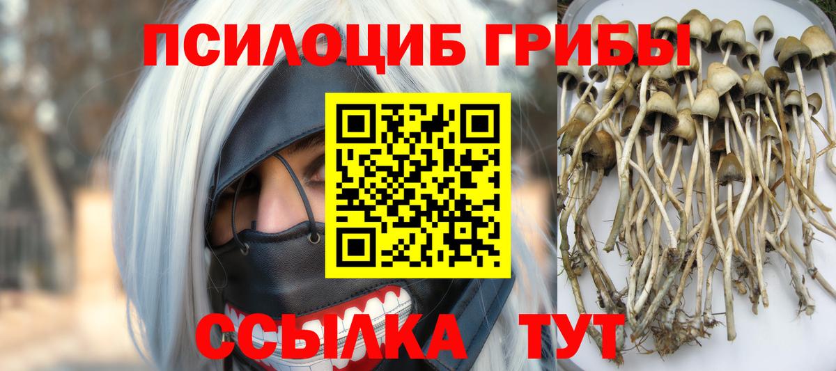 Галлюциногенные грибы Cubensis Соликамск
