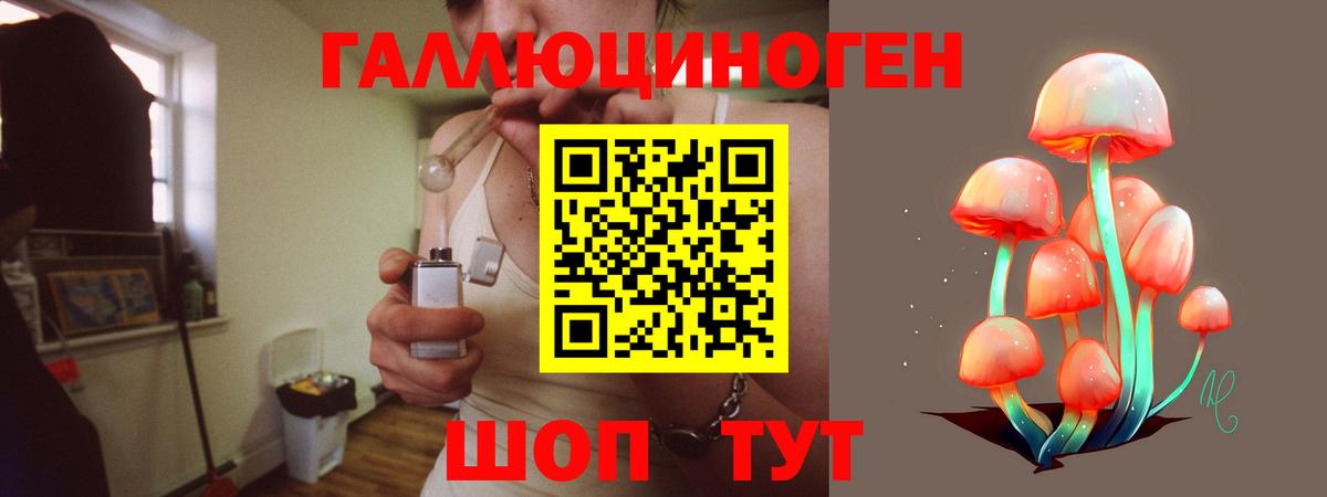 Соликамск  Галлюциногенные грибы Cubensis  Вход с VPN 